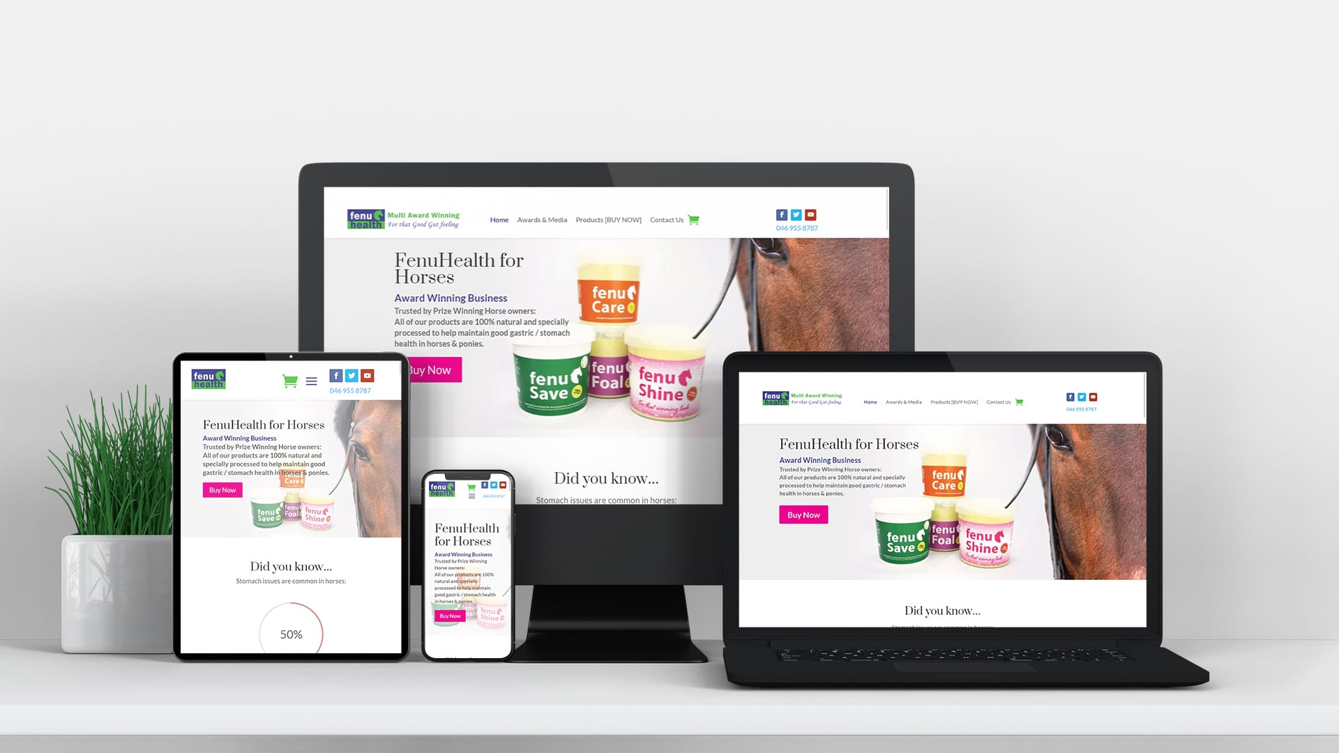 Website Design for FenuHealth Natural Horse Supplements