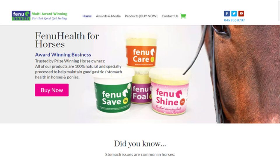 FenuHealth Horse Care Products Website Design by DesignBurst 960x540
