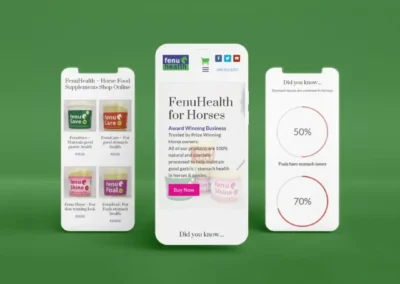 FenuHealth Website on a Mobile Phone Views ()